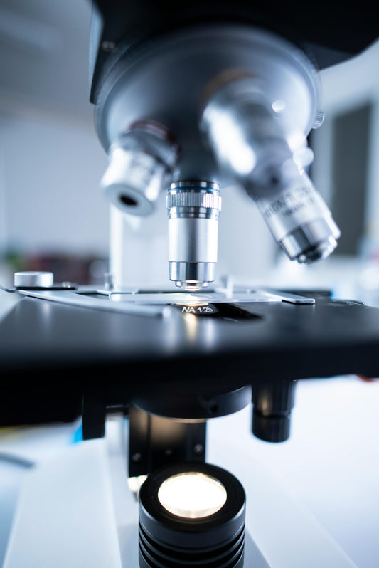 Bright Horizons: The Latest Advances in Type 1 Diabetes Research